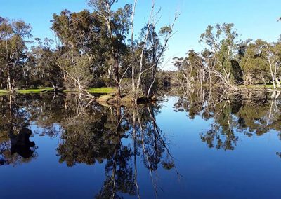 Tranquil lake scene at Stawell Hotel Motel Accommodation with reflections of trees, creating a serene atmosphere in the park, ideal for nature lovers and relaxation
